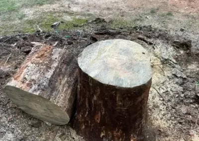 Dependable Local Tree Service