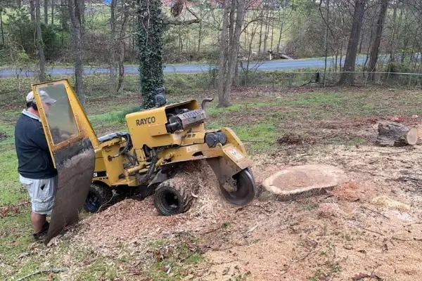 Stump Grinding