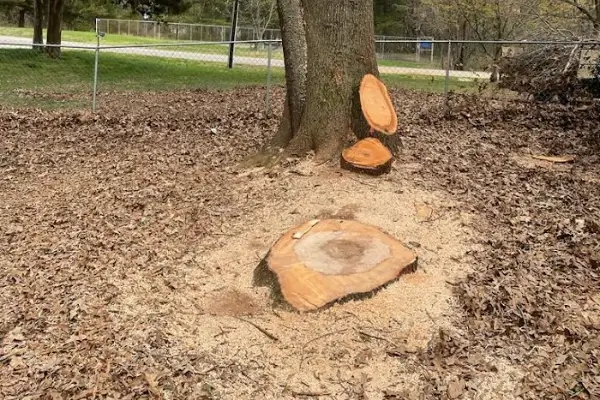 Stump Removal