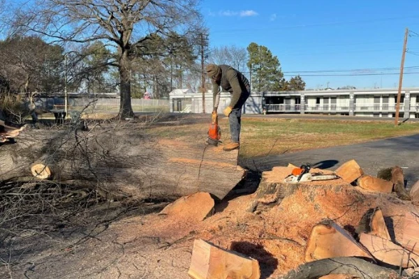 Victoria Tree Service's Other Services