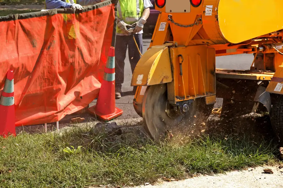 Experienced Stump Grinding Charlotte, NC Experienced Stump Grinding Charlotte, NC