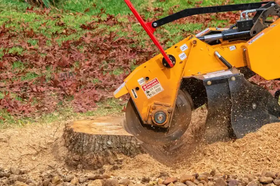 Expert Stump Grinding Charlotte, NC Expert Stump Grinding Charlotte, NC