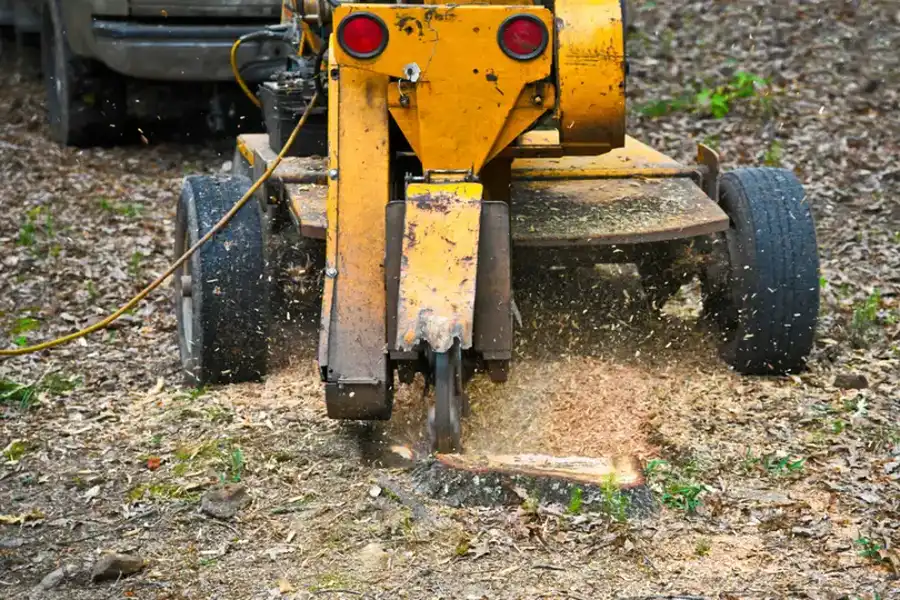 How Stump Grinding Helps Increase Available Space In Your Yard in Charlotte, NC How Stump Grinding Helps Increase Available Space In Your Yard in Charlotte, NC