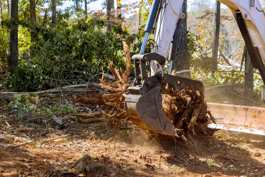 Quality Stump Removal Charlotte, NC Quality Stump Removal Charlotte, NC