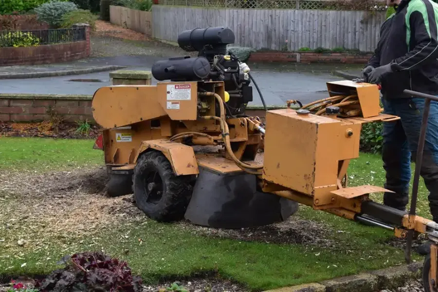 The Environmental Impact Of Stump Grinding And Removal Charlotte, NC